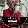 ahmedghaleb484