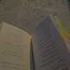 the_world_ofnovels.0