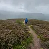 walkers_crispzz