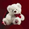 muhammadirfan8829