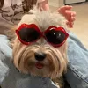 elsker_live