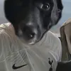 mathevfsc