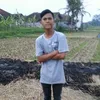tipan_maulana