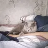 Надежда