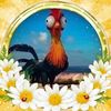 chickenbutt644