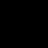 razyn_55