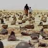rehaan_baloch4