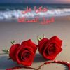 hadyalsydy59gmail.com1