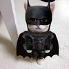 im._real_.batman