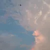 nrrrrrrry