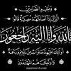 aliyehia167