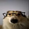squeezeunico