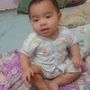 jova2905
