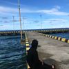 rdin_0175