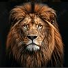 lion.king_88