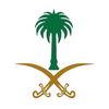 saudi3030_0