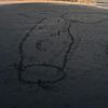 stinkyturtle_toe