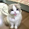 imnotme_040