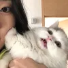 elunkawi