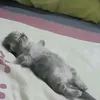 zzeylcyy_