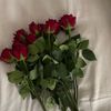 user78899524958537