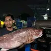 ukypratama65