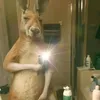 xiturito1