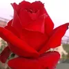 huongquy_21111968