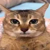 minhverylucky2