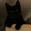 frauleingrau