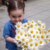 sofi.itz19