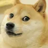 doge..e