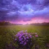 mohamedsami2475