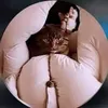 ai__b06