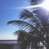 hasana_033