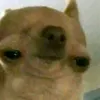 ballisticboyd