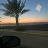 taliasbackup7