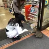 whiou5