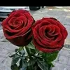kadija26bb