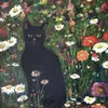blaacckkcat