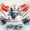 mohamedhasan8952