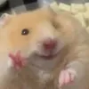 _mhuyenie46_