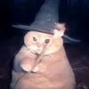 naogioitoanthidoii