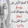 dy81fxqpxgzn