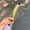 nethu__905