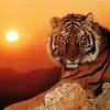 cao.thang252