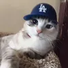 _chanqd.ai
