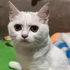 rikichan0_0