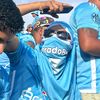 timido.15