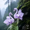 emina_80f